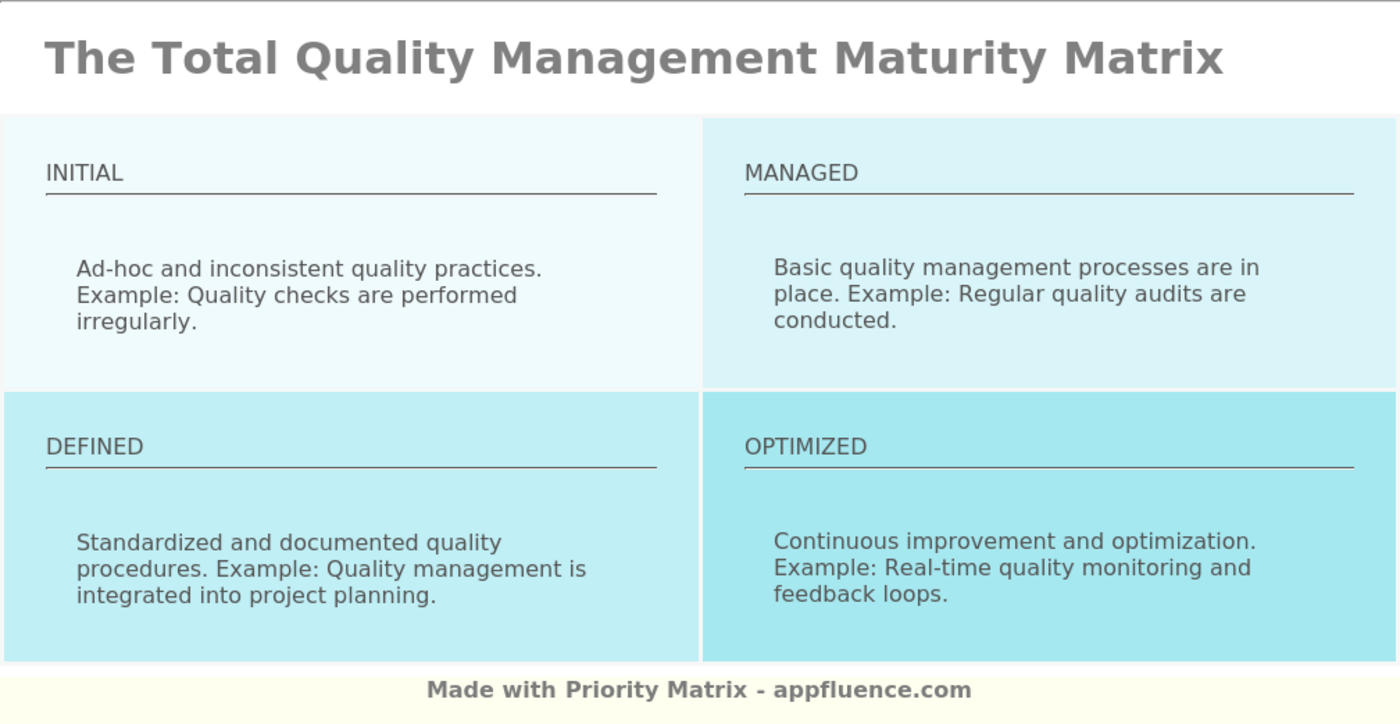 Total Quality Management Maturity Matrix Free Download 0569